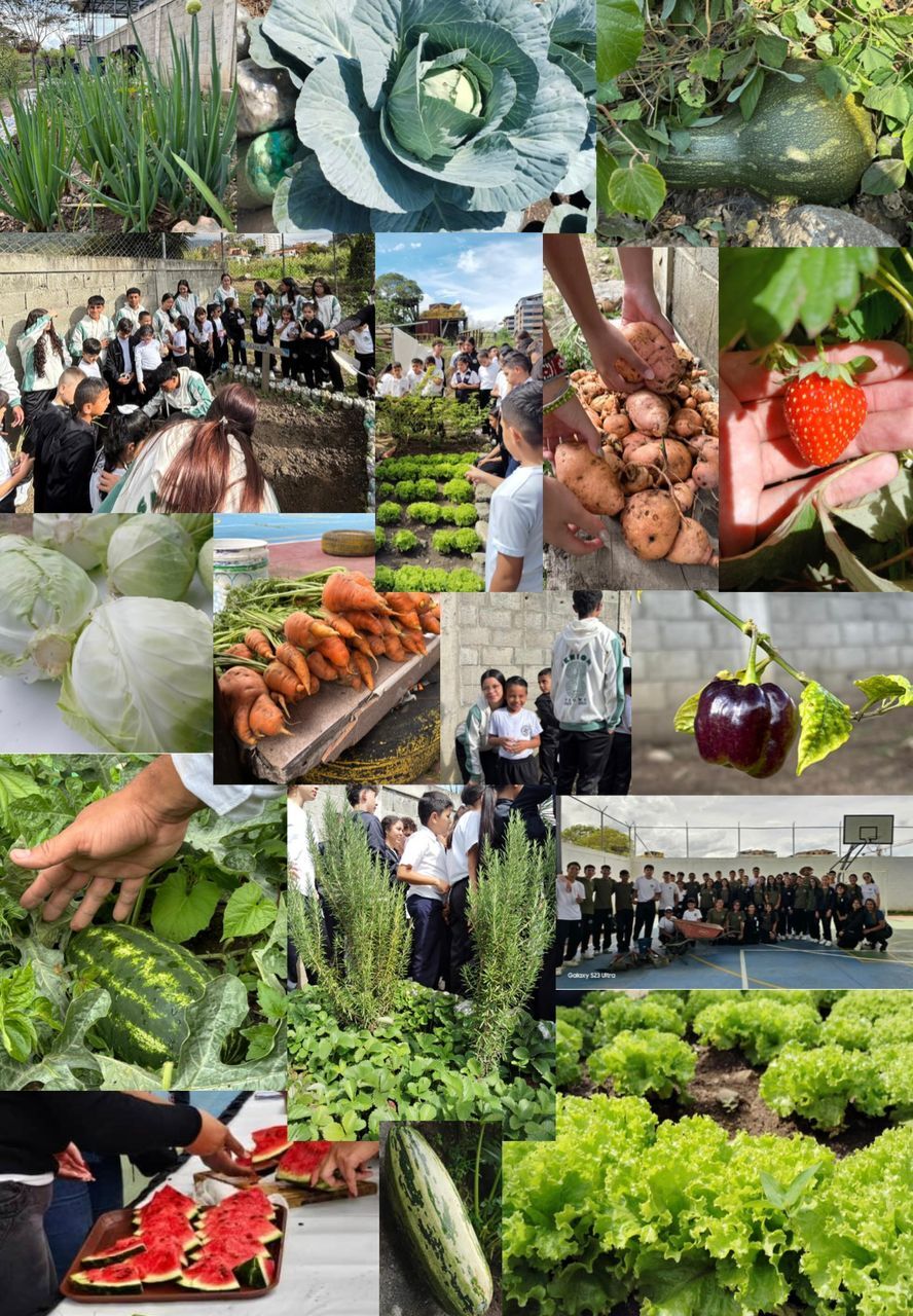 Portada Huerto Escolar