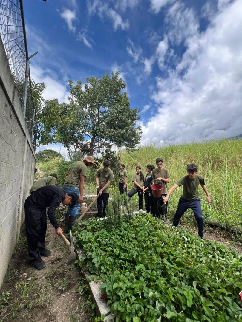Estudiantes trabajando en el huerto escolar