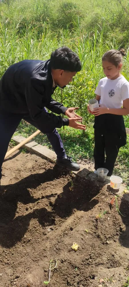 Niños observando de cerca las plantas del huerto