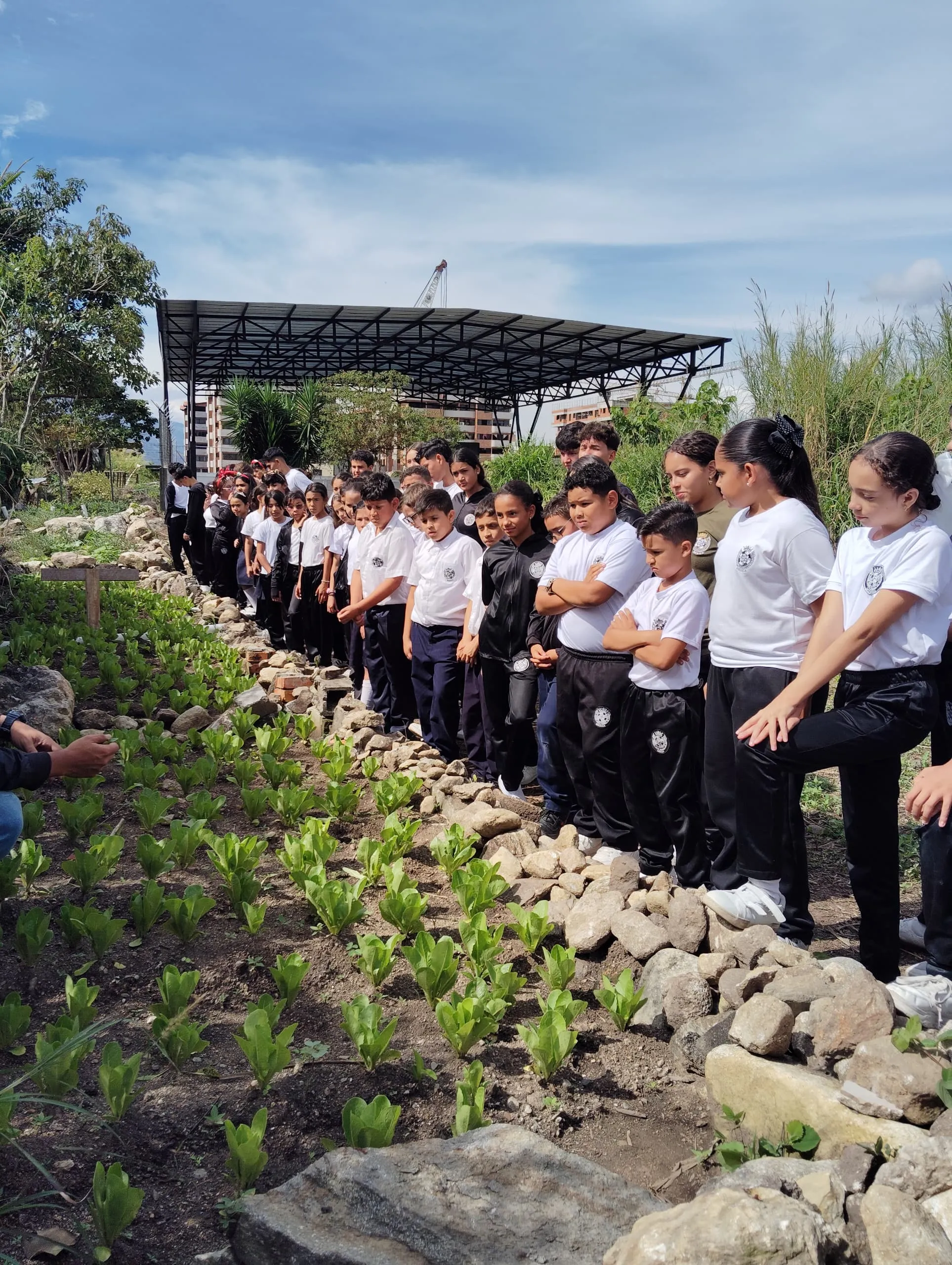 Brigada explicando el cultivo de plantas a los estudiantes